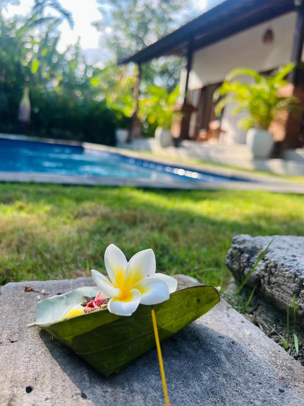 Wiryaroja Guest House Canggu Kültér fotó